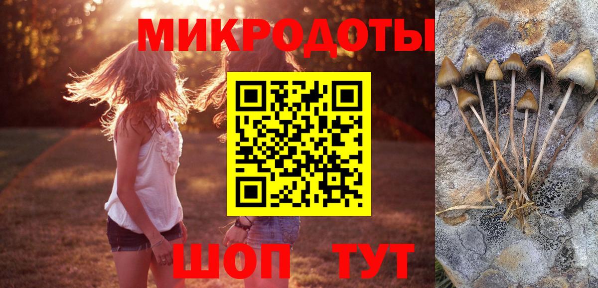 Ликино-Дулёво  Псилоцибиновые грибы GOLDEN TEACHER  Вход с VPN 